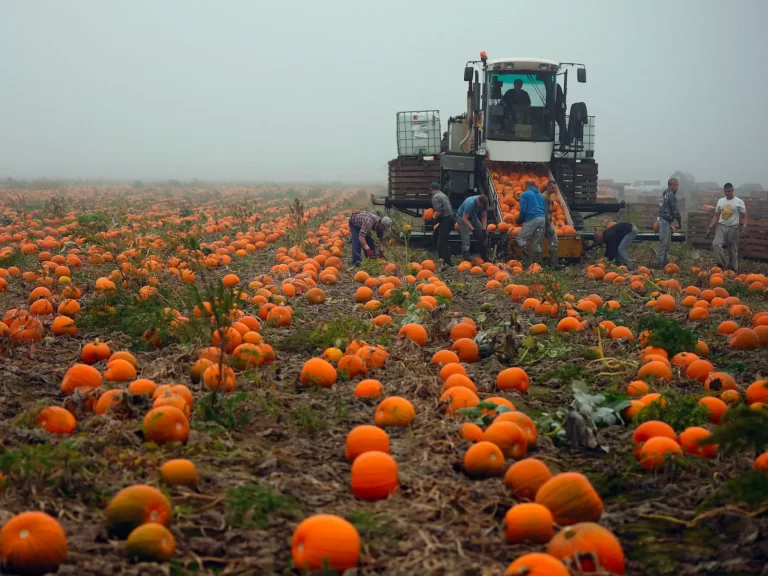 Exciting Job Openings in UK Agriculture Space