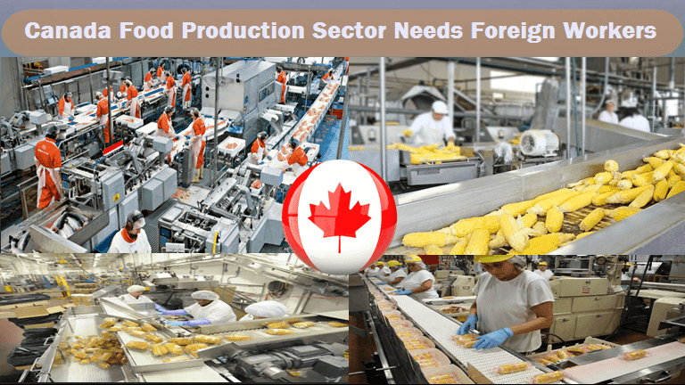 Hiring Factory Workers in Canada – Guide for Immigrants