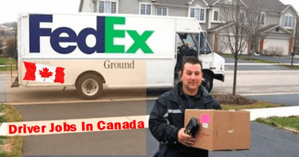 Exploring High-Paying Delivery Driver Jobs in Canada: Salary, Skills, and How to Apply